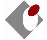 nsz logo