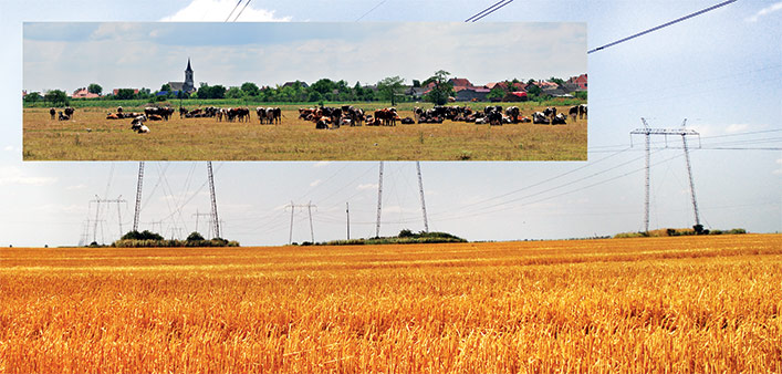 poslovno okruženje stara pazova